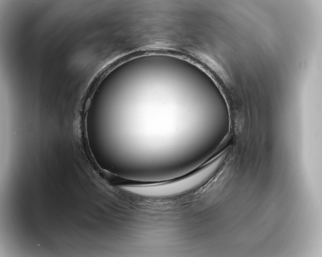 X0000095131356200712211321