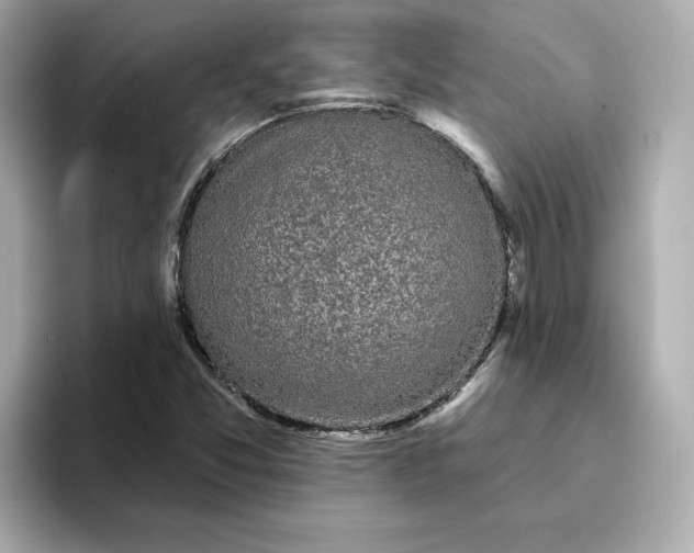 X0000095131357200712211321