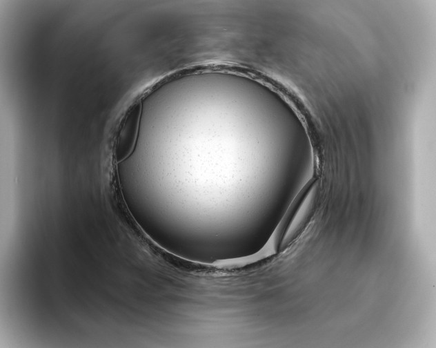 X0000095131359200712211321