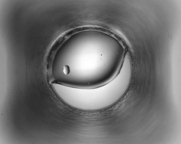 X0000095131360200712211321