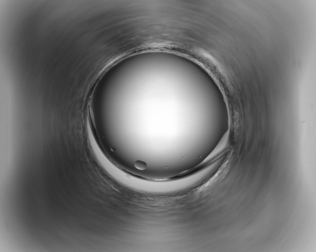 X0000095131361200712211321