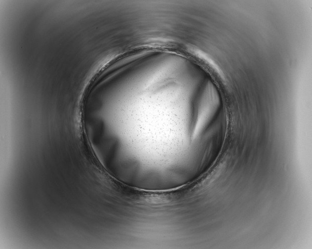 X0000095131362200712211321