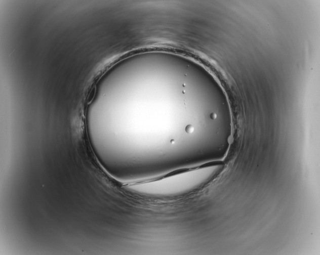 X0000095131363200712211321