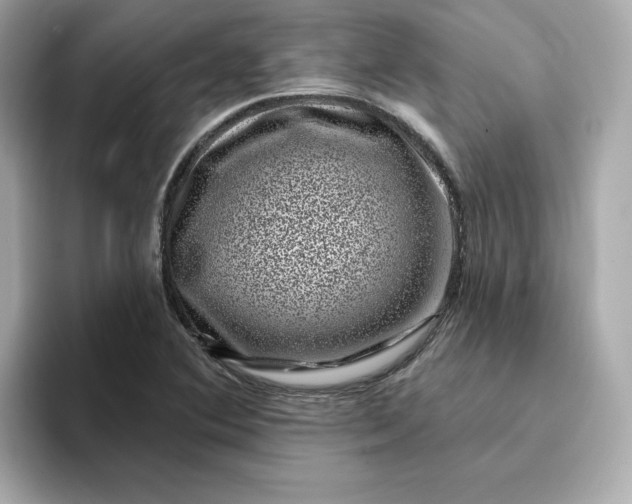 X0000095131364200712211321