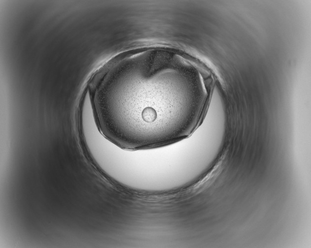 X0000095131365200712211321