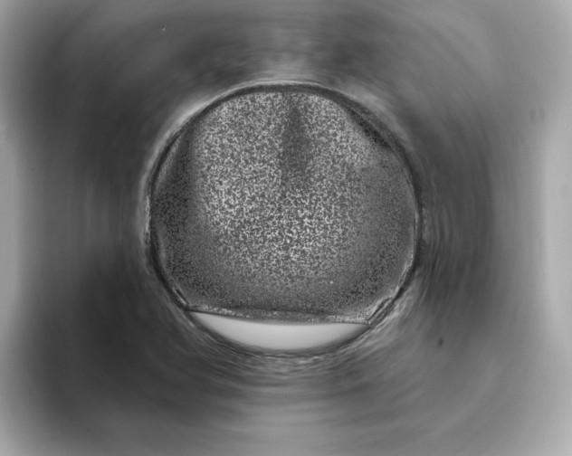 X0000095131366200712211321