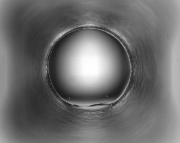 X0000095131367200712211321