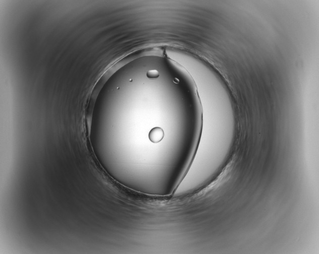 X0000095131369200712211321