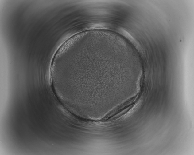 X0000095131370200712211321