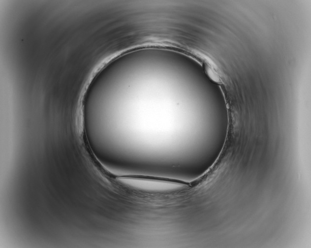 X0000095131371200712211321