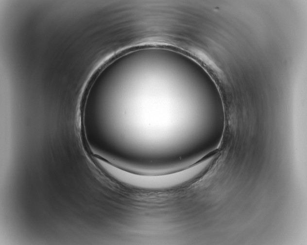 X0000095131372200712211321