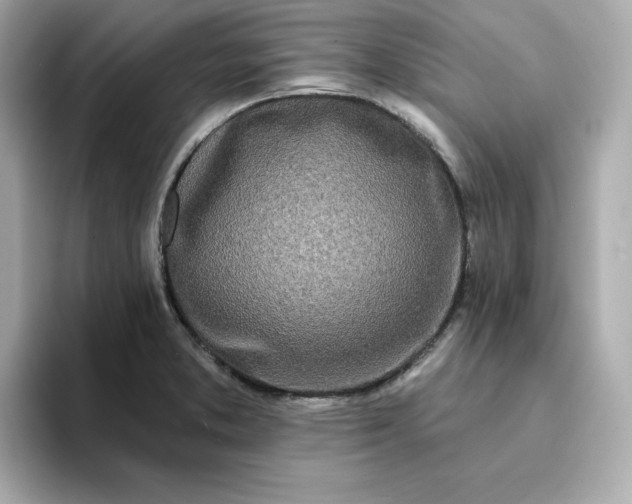 X0000095131373200712211321