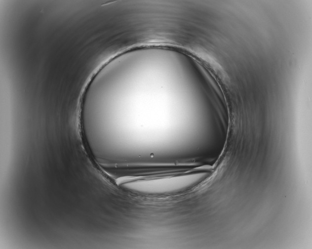 X0000095131374200712211321