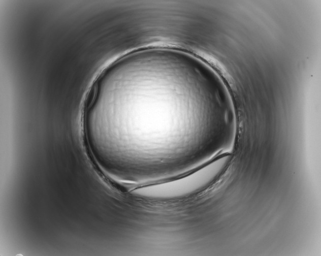 X0000095131375200712211321