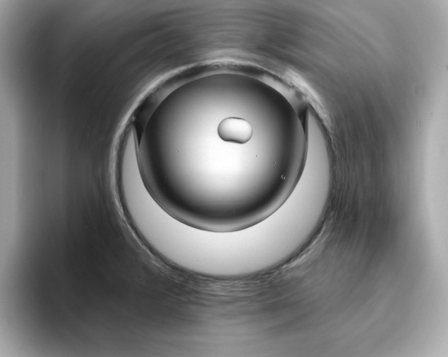 X0000095131376200712211321