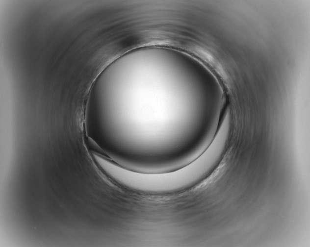 X0000095131377200712211321