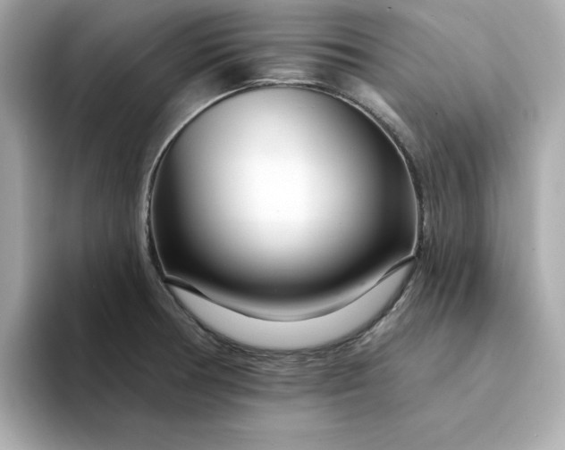 X0000095131378200712211321