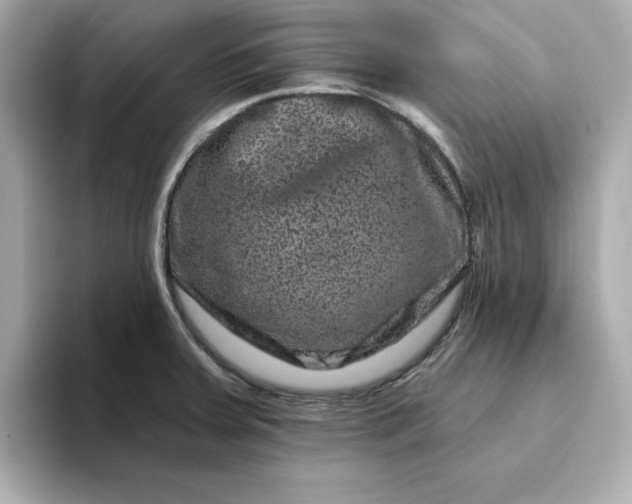 X0000095131379200712211321