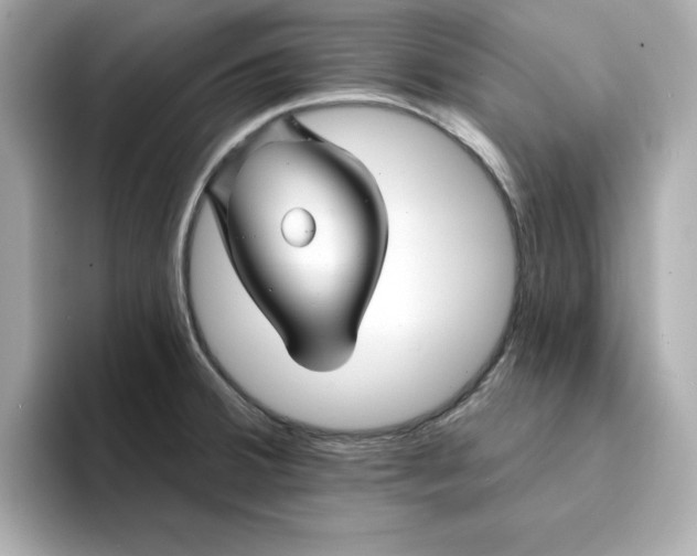 X0000095131380200712211321