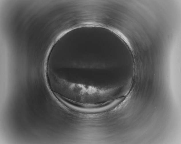 X0000095131381200712211321