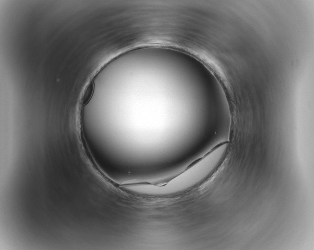 X0000095131382200712211321