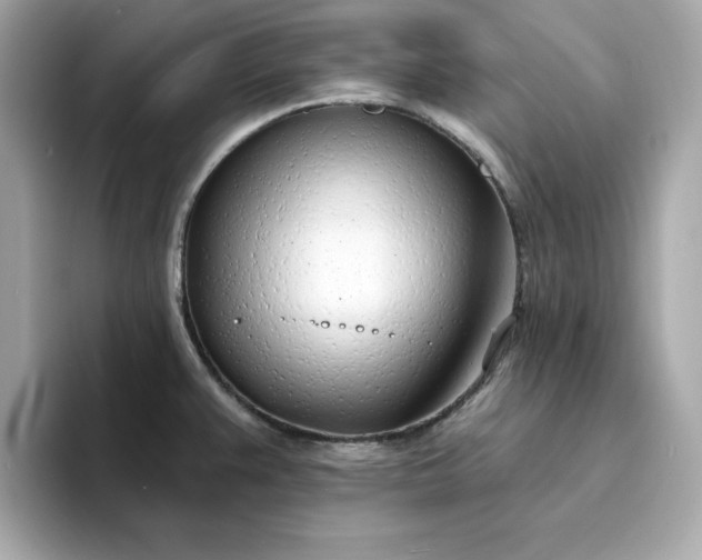 X0000095131383200712211321