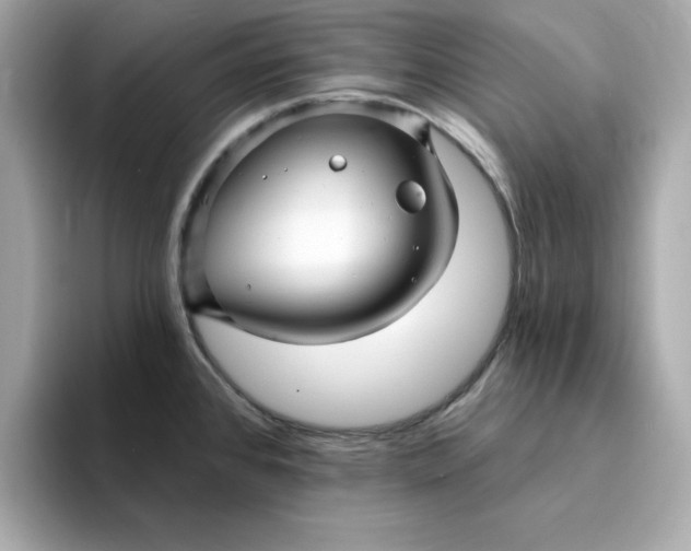 X0000095131384200712211321