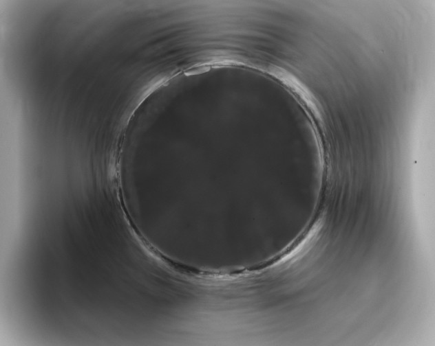 X0000095131385200712211321