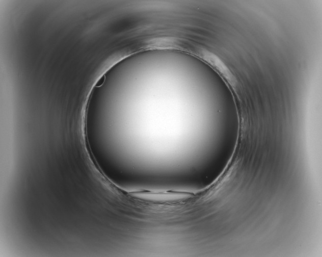 X0000095131386200712211321