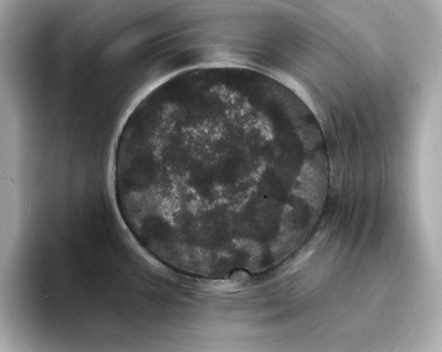 X0000095131387200712211321