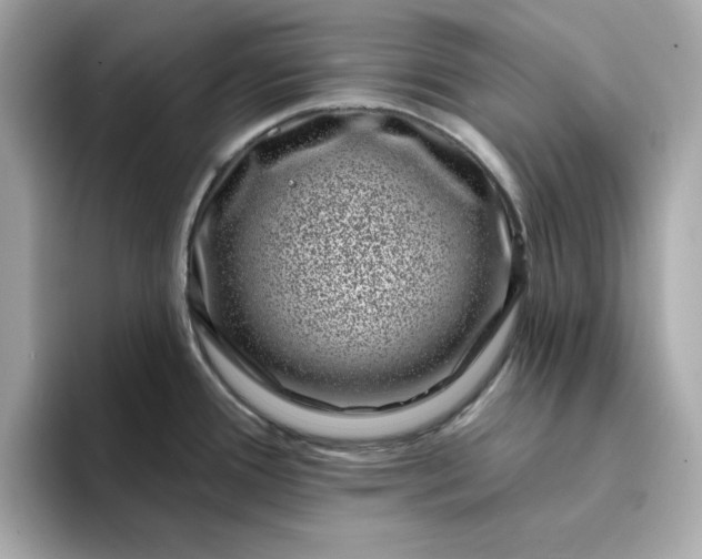 X0000095131388200712211321