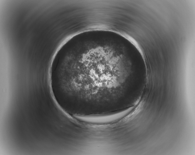 X0000095131389200712211321