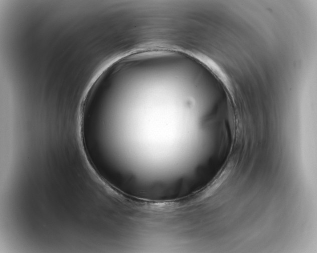 X0000095131390200712211321