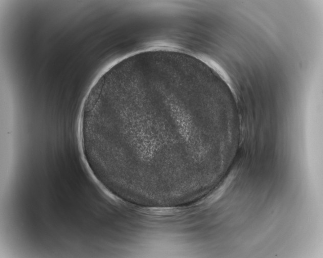 X0000095131391200712211321