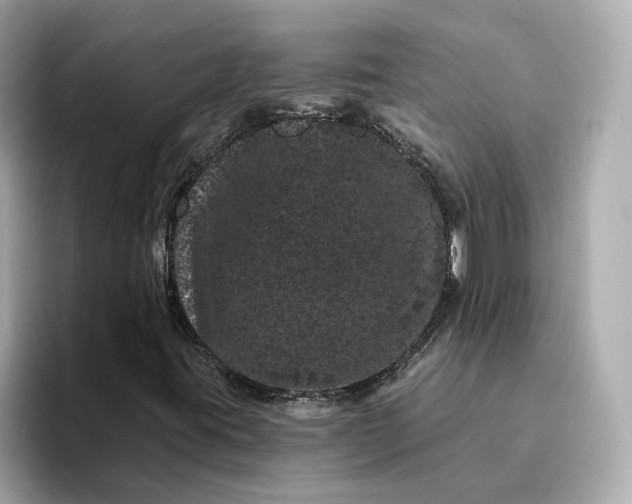 X0000095131395200712211320