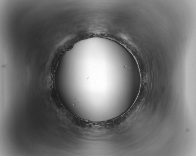 X0000095131398200712211320