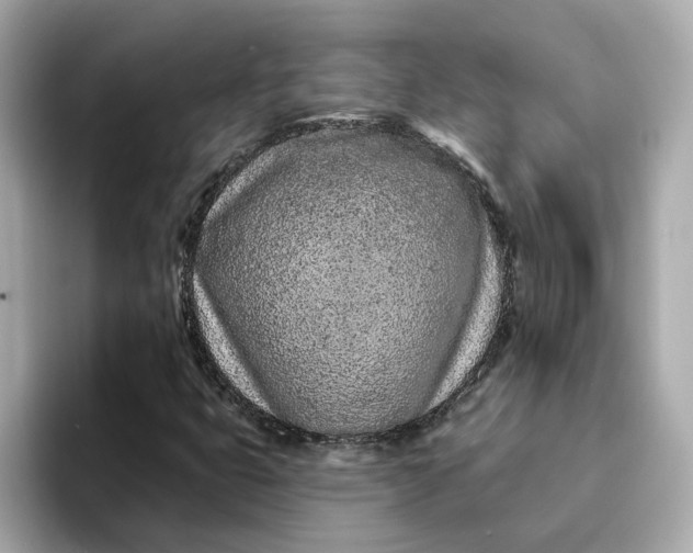 X0000095131399200712211320