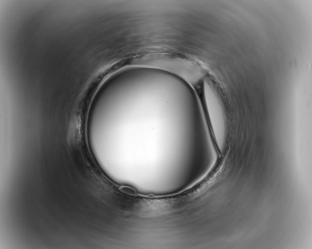 X0000095131402200712211320