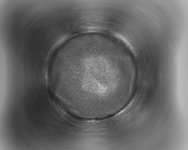 X0000095131403200712211320