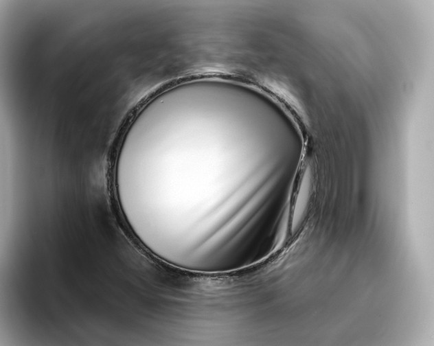 X0000095131404200712211320