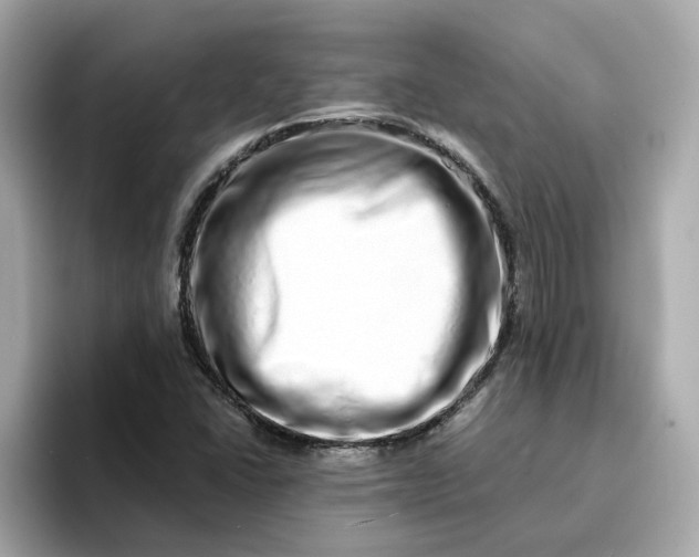 X0000095131406200712211320