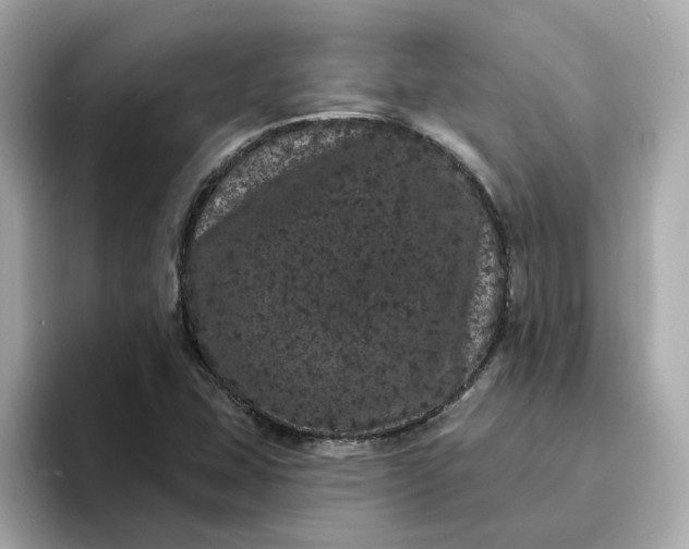 X0000095131407200712211320