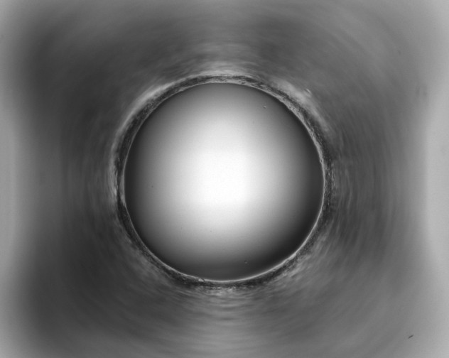 X0000095131408200712211320