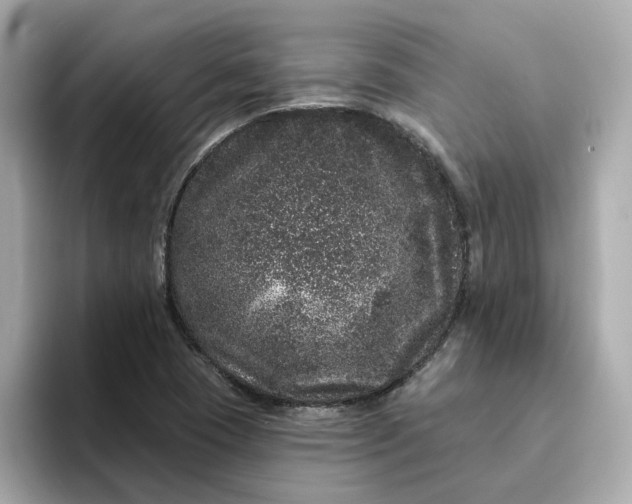 X0000095131409200712211320