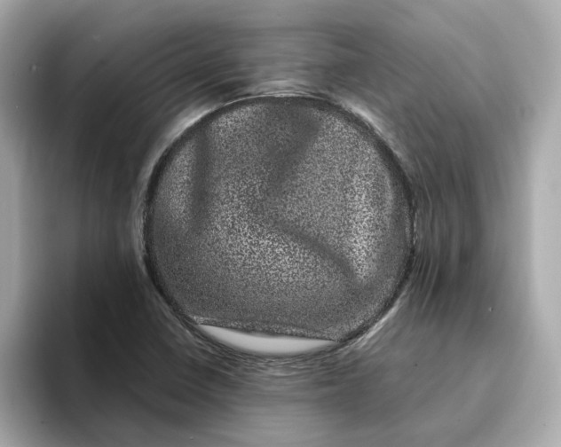 X0000095131410200712211320