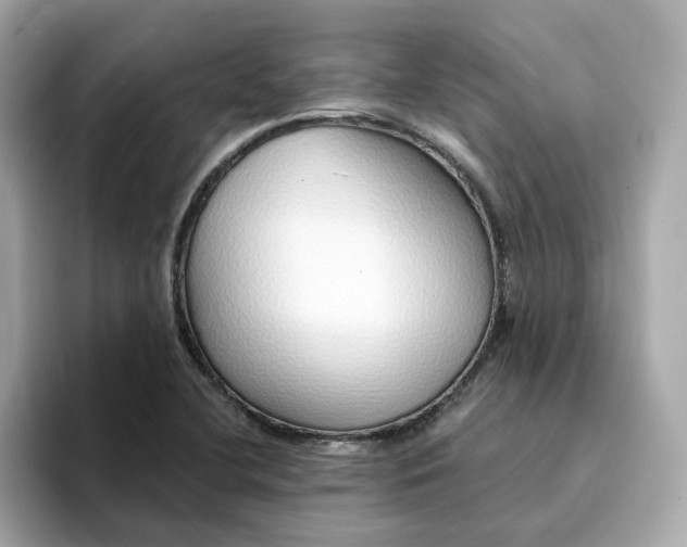 X0000095131412200712211320