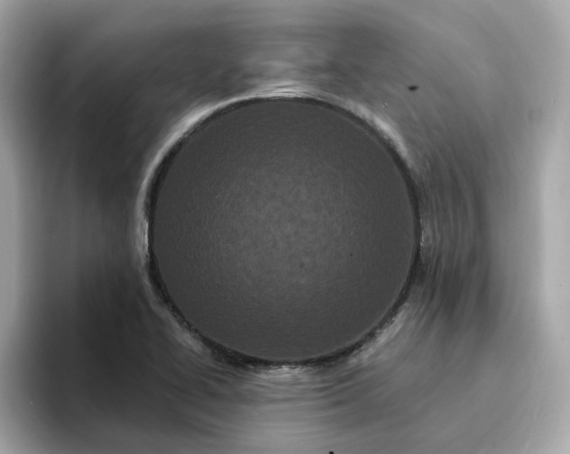 X0000095131414200712211321