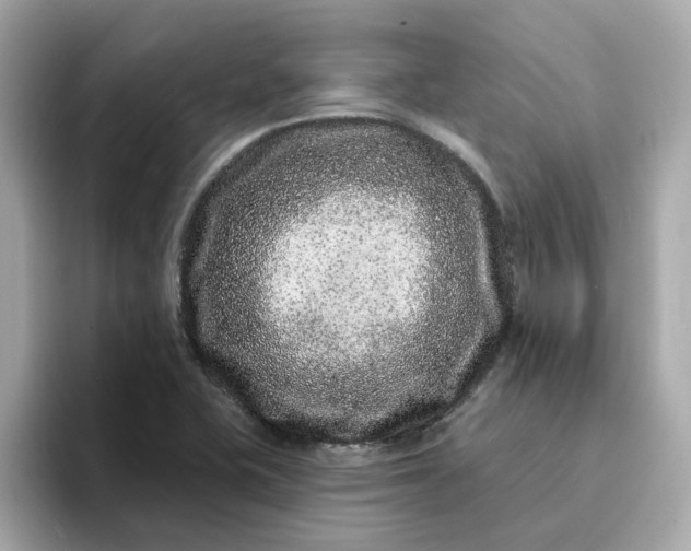 X0000095131415200712211321