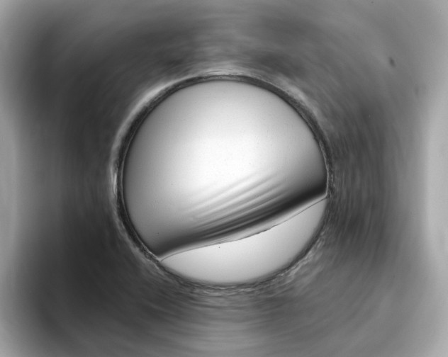 X0000095131416200712211321