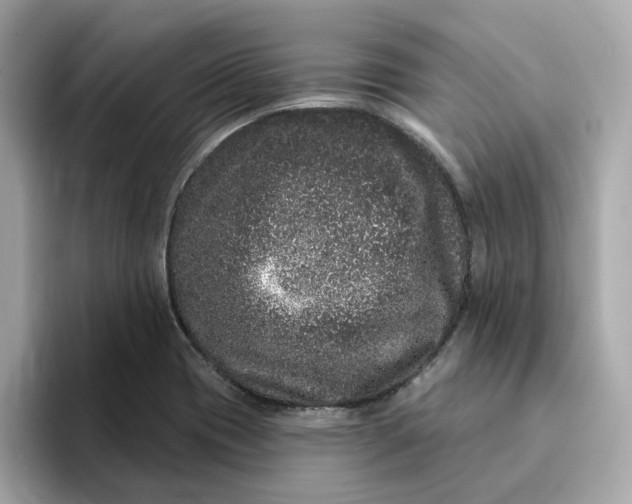 X0000095131417200712211321